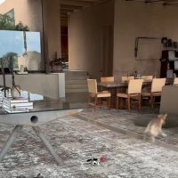 Vila Ellen DeGeneres