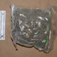 Kod 33-godišnja u Zaprešiću pronađena droga