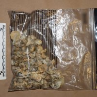 Kod 33-godišnja u Zaprešiću pronađena droga