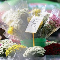 Građani diljem zemlje posjećivali su groblja za blagdan Svih Svetih