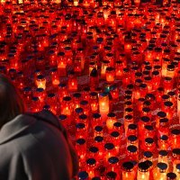 Mir i tišina na zagrebačkom Mirogoju