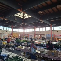 Zagrebačke tržnice