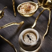 Ocean_Mandarine Yuzu LemonGrass_Credits Stils Portugal 2