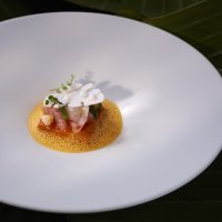 Ocean_Moqueca Skate Fish_Credits Stils Portugal