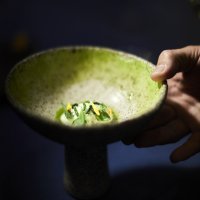 oyster - dill - cucumber - escabeche