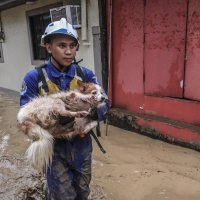 Posljedice tajfuna na Filipinima