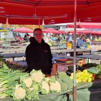 Zagrebačke tržnice