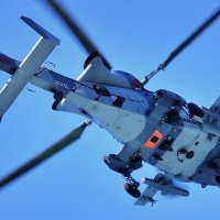 Domet Sea Venoma iznosi 20 kilometara