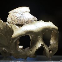 Otvorenje izložbe 'Lubanja C'