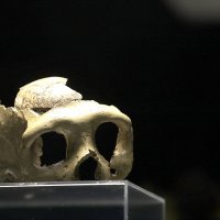 Otvorenje izložbe 'Lubanja C'