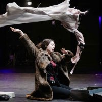 Lana Ujević Telenta