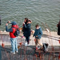 Reportaža iz Vukovara