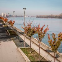 Reportaža iz Vukovara