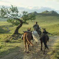 'Vitez sedam kraljevstava'