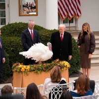 Melania i Donald Trump