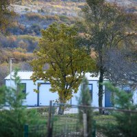 Sporne Thompsonove nekretnine u Čavoglavama