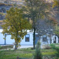 Sporne Thompsonove nekretnine u Čavoglavama