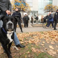 Prosvjed ispred stana Dalije Orešković