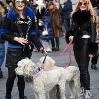 Ulična moda u Zagrebu