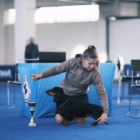 Izložba pasa Zagreb Winter Classic Dog Show