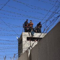 Godišnjica pada Asadovog režima