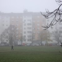 Magla u zagrebačkim Srednjacima