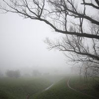 Magla u zagrebačkim Srednjacima