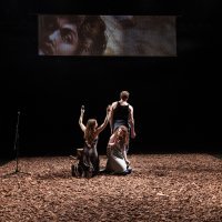 Things That Burn Easily SMANJENI FORMAT foto Jelena Janković 1