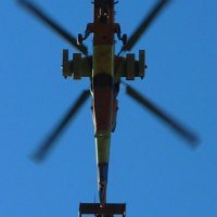 Australski Tiger u niskom preletu