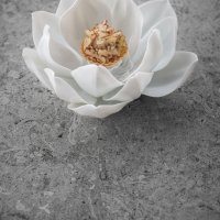 Foie Gras au Chantilly Restaurant JAN © Pieter D'Hoop