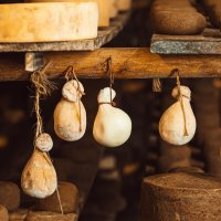 Instituto Bazzar - sir