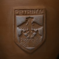 Petrinja perspektiva mladih