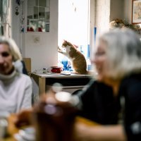 Dinka Juričić  i Karmen Zupančič