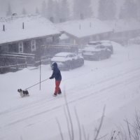 Oluja Johannes poharala Švedsku