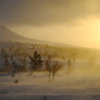 Oluja Johannes poharala Švedsku