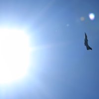 Proslava Oluje u Kninu