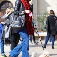 Zagrebačka špica (13)