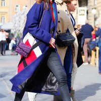 Zagrebačka špica (14)