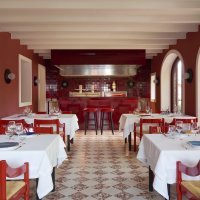 Cavallino ph.Danilo Scarpati(2)