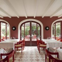 Cavallino ph.Danilo Scarpati(4)