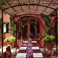 Cavallino ph.Danilo Scarpati(6)