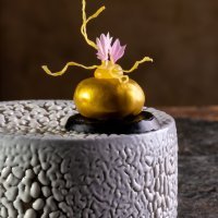 Atelier_Hamachi-Bauch_Grüne Currycreme, Indonesische Aromen_©DanielSchvarcz