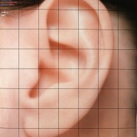 11. Muzički biennale Zagreb, dizajn: Boris Ljubičić, suradnici Stipe Brčić, Rajna Buzić, Siniša Knaflec (Tim vizualne komunikacije CIO), 1981.