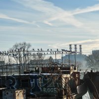 Brodovi na Savi Zagreb kod Mosta mladosti