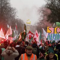 Prosvjed poljoprivrednika u Strasbourgu