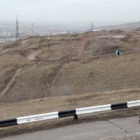 Dolazi mali sivi vuk