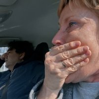 Dolazi mali sivi vuk