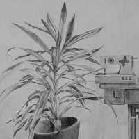 Ines Matijević Cakić, Matriksijalne priče, crtež olovkom na papiru, Ø 140 cm, 2011. – 2014.