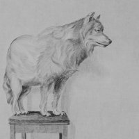 Ines Matijević Cakić, Matriksijalne priče, crtež olovkom na papiru, Ø 140 cm, 2011. – 2014. f (1)