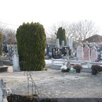 Uklonjen mauzolej četničkog vojvode Vukašina Šoškočanina